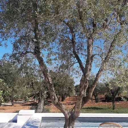 Villa Trulli Au Milieu D'un Champ D'oliviers Avec Piscine Ceglie Messapica