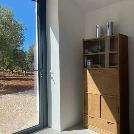 Trulli Au Milieu D'un Champ D'oliviers Avec Piscine