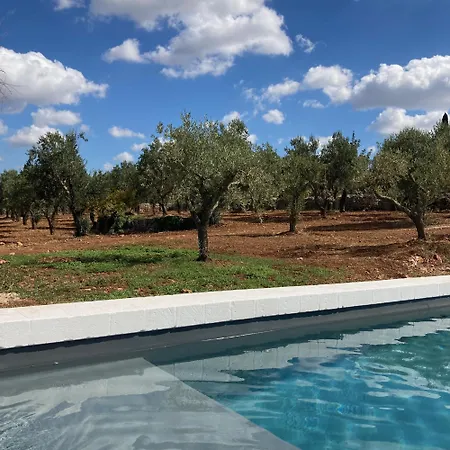 Trulli Au Milieu D'un Champ D'oliviers Avec Piscine Ceglie Messapica